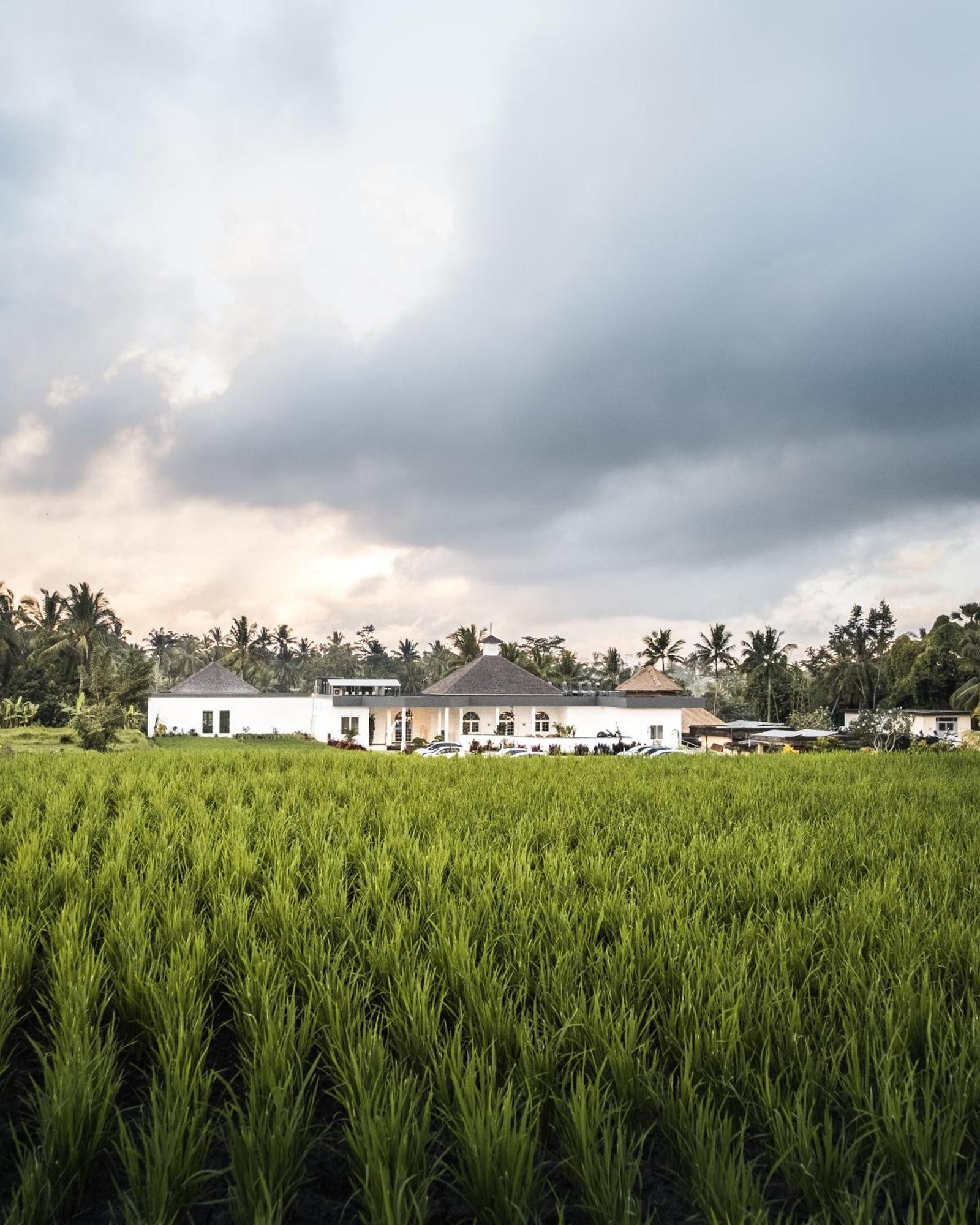 Cascades Suites Ubud Dış mekan fotoğraf
